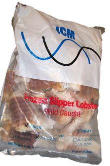 slipper lobster front of bag