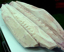 swordfish fillet